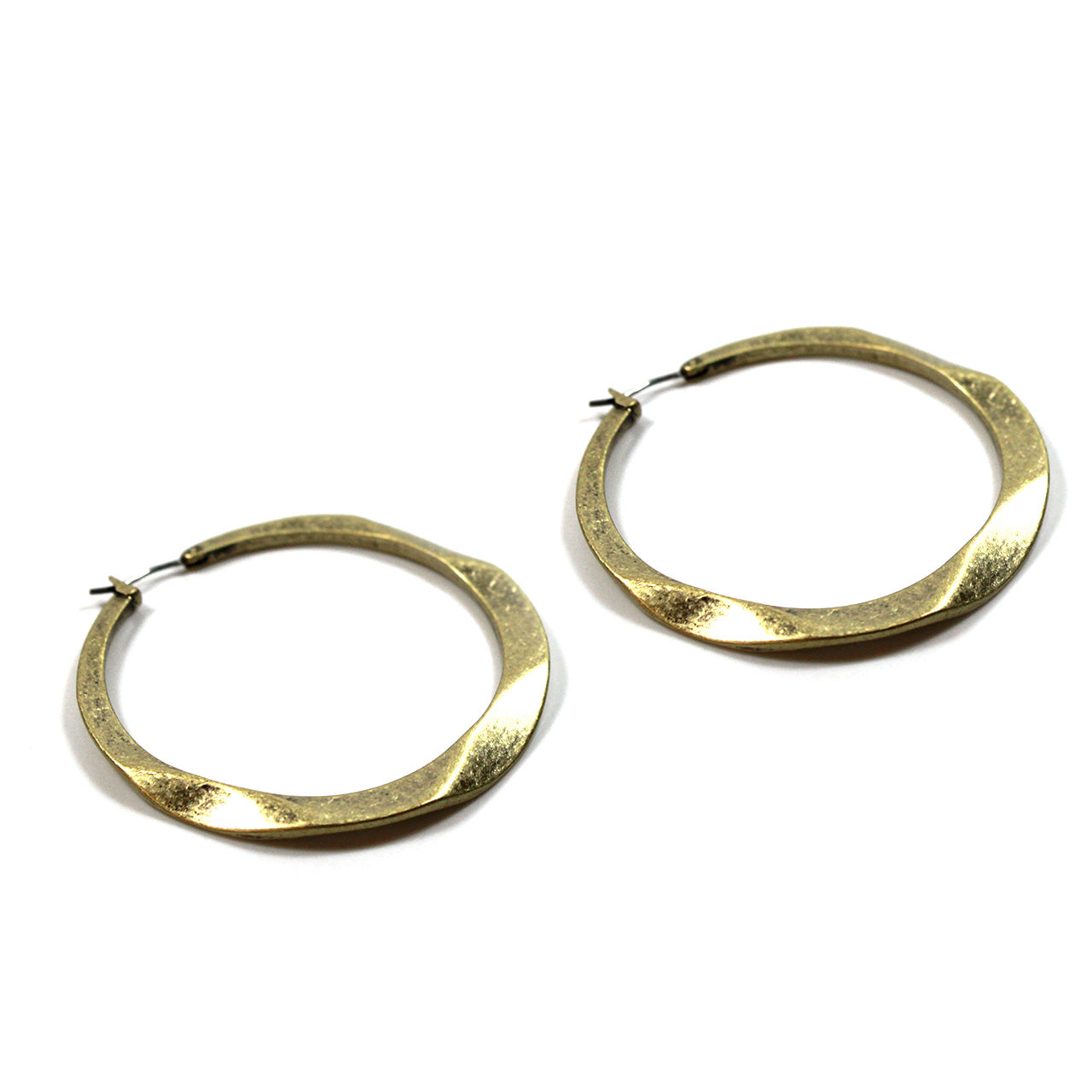 Pasha Hoop Earrings